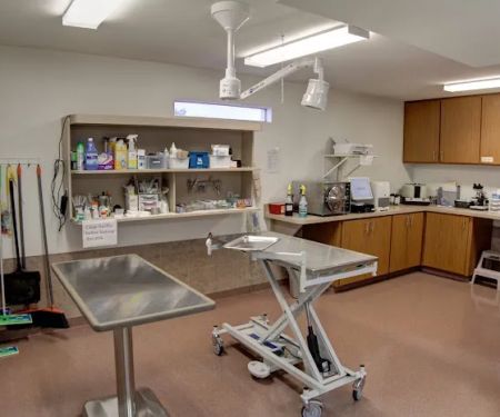 Adobe Veterinary Clinic