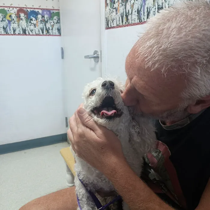 Pet Haven Animal Hospital Picture 1
