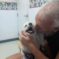 Pet Haven Animal Hospital ico