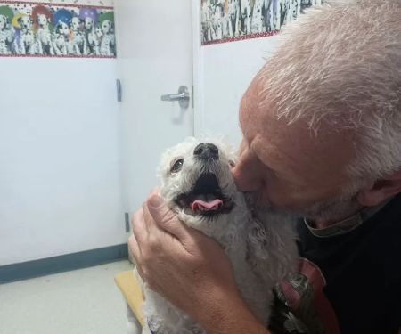 Pet Haven Animal Hospital