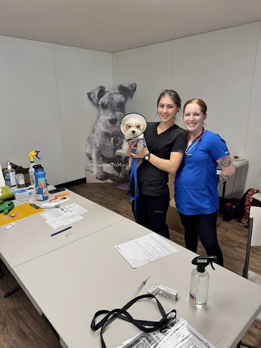 Trusted Paws Veterinary Clinic Picture 9