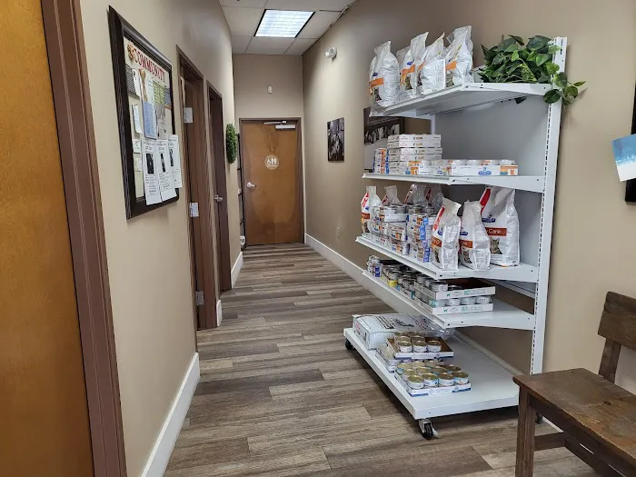 Higley Road Pet Clinic Picture 2