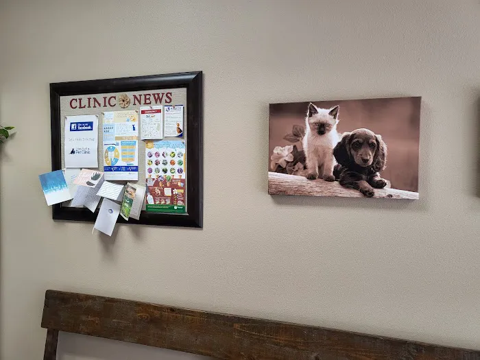 Higley Road Pet Clinic Picture 10