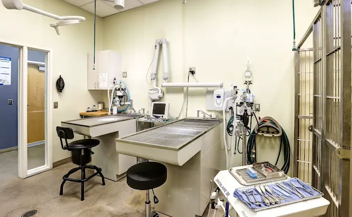 Higley Groves Animal Hospital Picture 8
