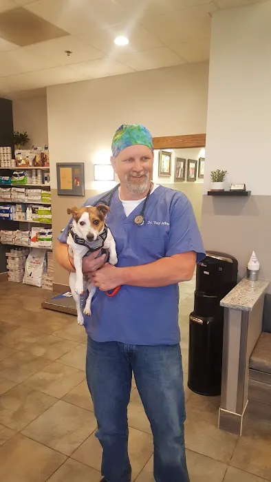 Higley Groves Animal Hospital Picture 5