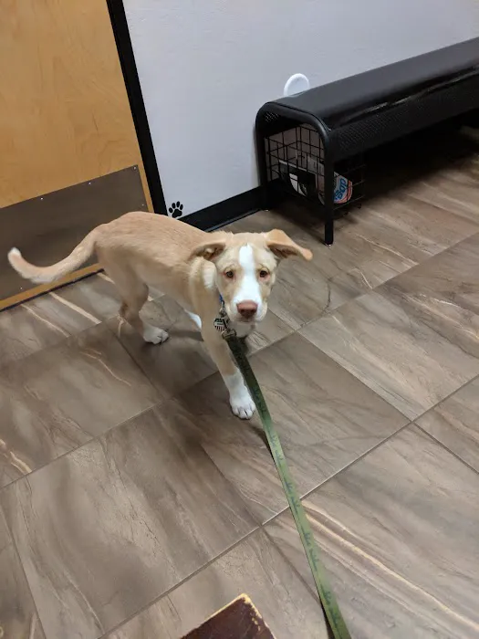 Cross Winds Animal Clinic Picture 7