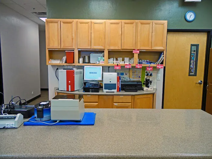 Cross Winds Animal Clinic Picture 3