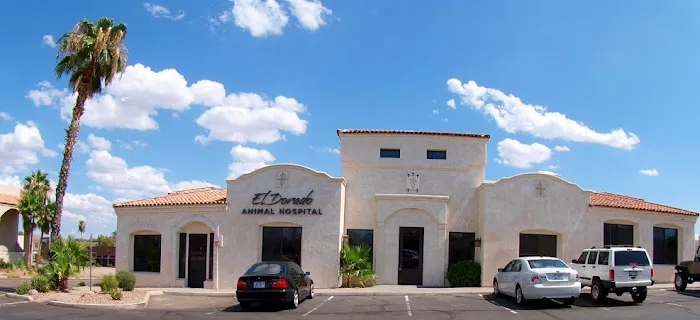 El Dorado Animal Hospital Picture 6