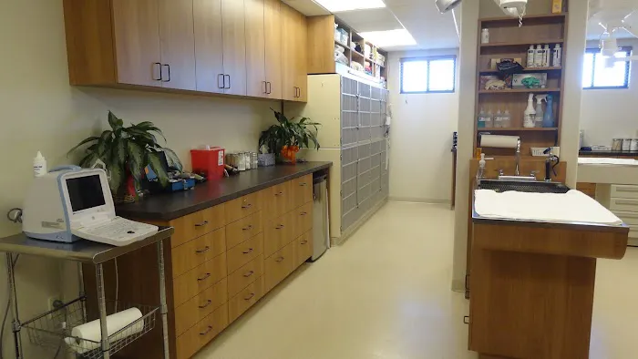 El Dorado Animal Hospital Picture 7