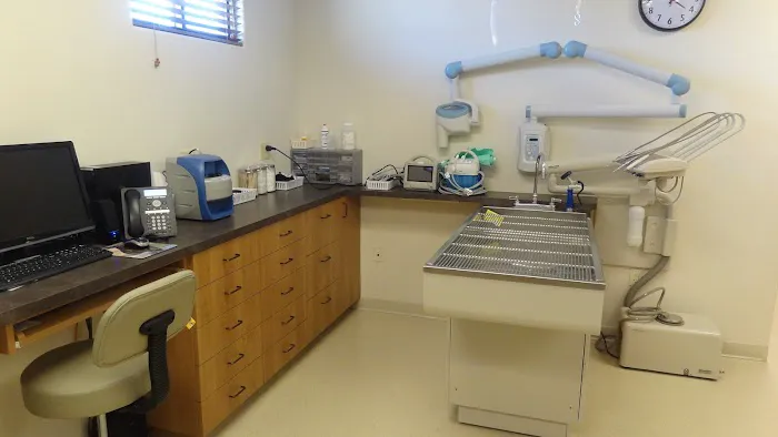 El Dorado Animal Hospital Picture 1