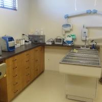 El Dorado Animal Hospital ico