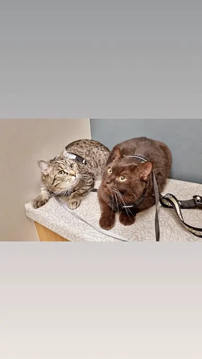 El Dorado Animal Hospital Picture 10