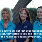 Palisades Veterinary Hospital: Diltz Laura J DVM