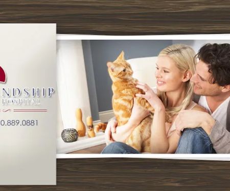 Friendship Pet Hospital
