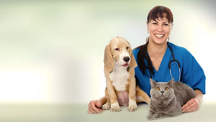Friendship Pet Hospital Picture 7
