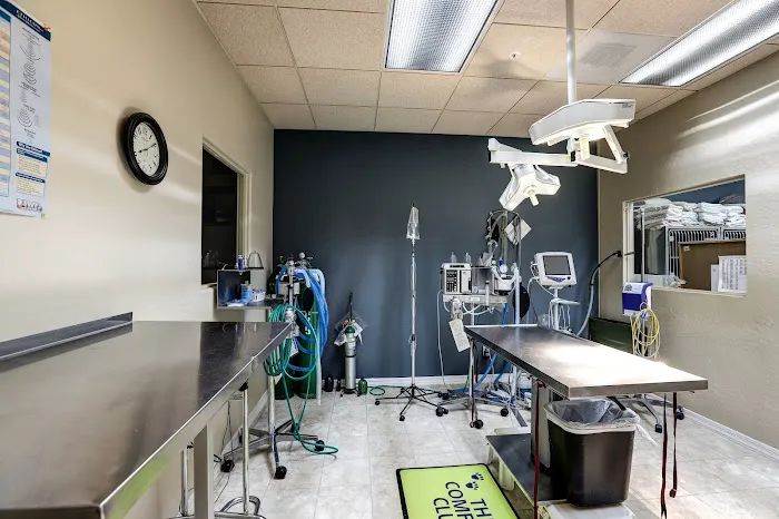Friendship Pet Hospital Picture 4