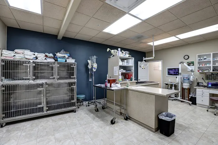 Friendship Pet Hospital Picture 8