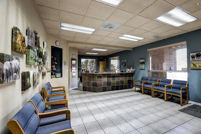 Friendship Pet Hospital Picture 3