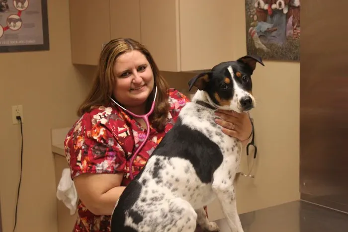 Fountain Hills Veterinary Hospital - NOW MERGED WITH BARK AVENUE ANIMAL HOSPITAL Picture 10
