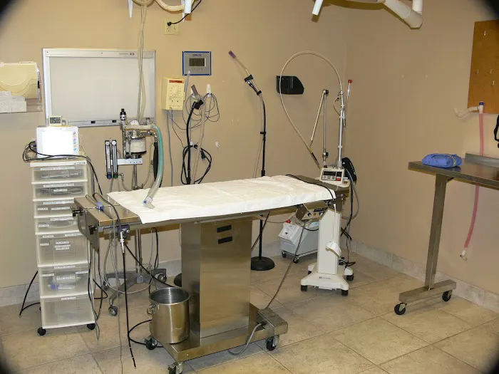 Fountain Hills Veterinary Hospital - NOW MERGED WITH BARK AVENUE ANIMAL HOSPITAL Picture 4