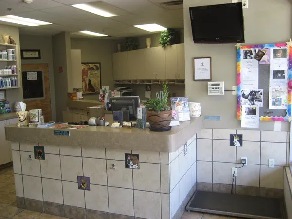 DC Ranch Animal Hospital Picture 9