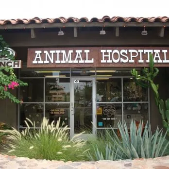 DC Ranch Animal Hospital Picture 5