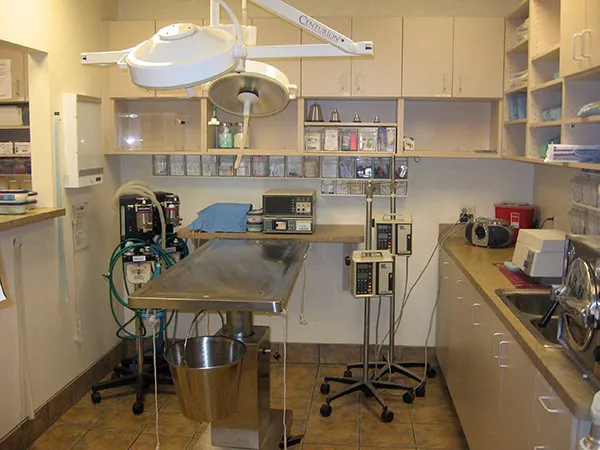 DC Ranch Animal Hospital Picture 1
