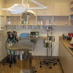 DC Ranch Animal Hospital