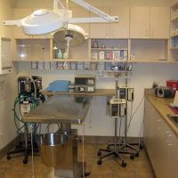 DC Ranch Animal Hospital ico