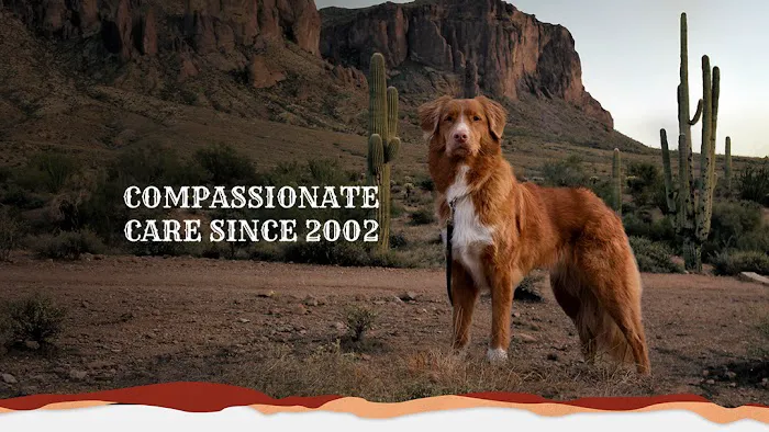 DC Ranch Animal Hospital Picture 10