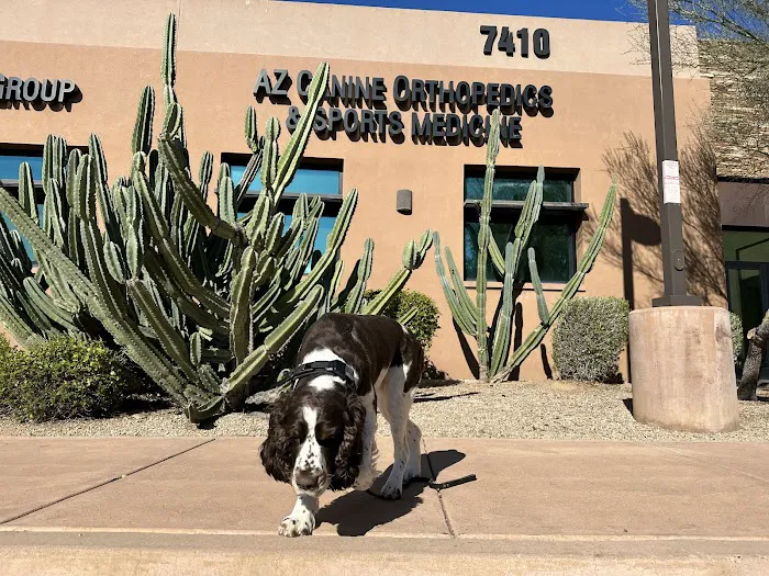 Animal Specialty Group of Scottsdale Picture 7