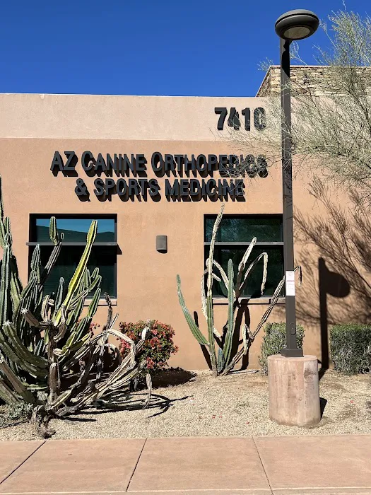 Arizona Canine Orthopedics & Sports Medicine Picture 2