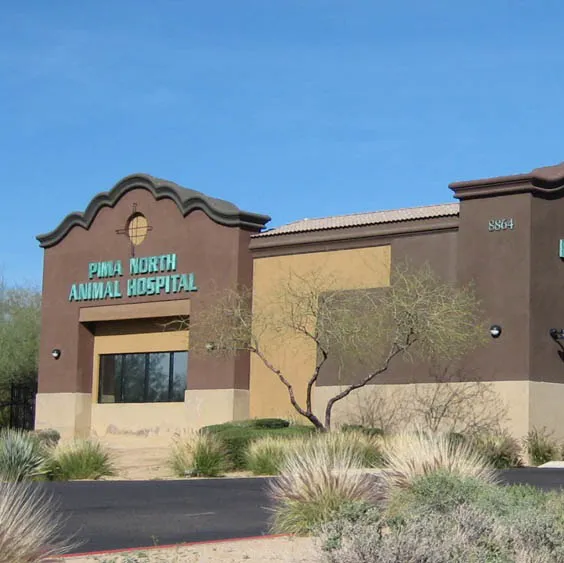 Pima North Animal Hospital Picture 2