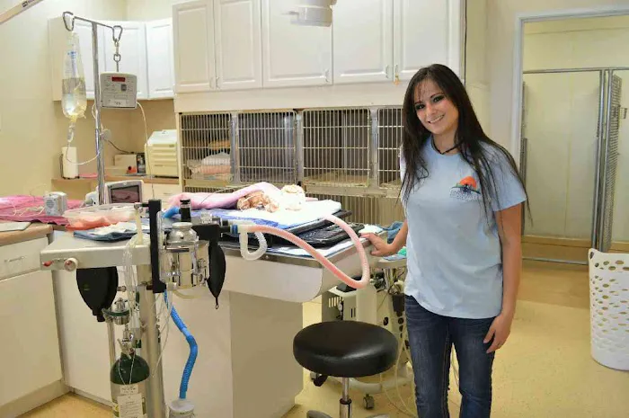 Desert Hills Animal Clinic Picture 1