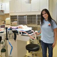 Desert Hills Animal Clinic ico