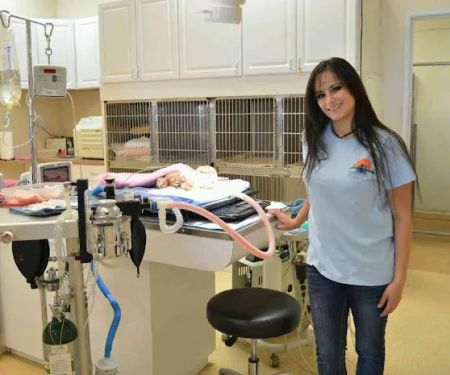 Desert Hills Animal Clinic