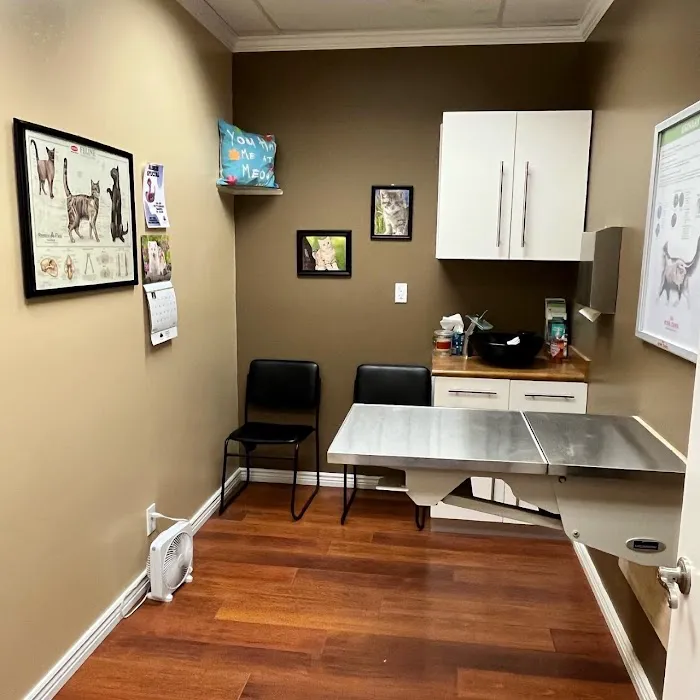 Desert Hills Animal Clinic Picture 8