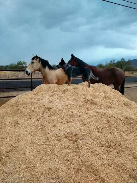 Copper Ridge Equine, LLC Picture 3