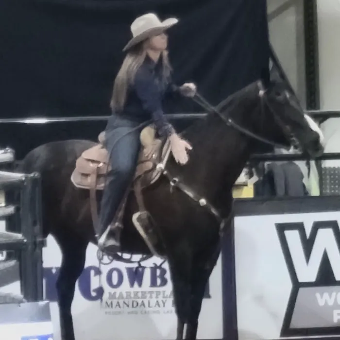 Copper Ridge Equine, LLC Picture 2