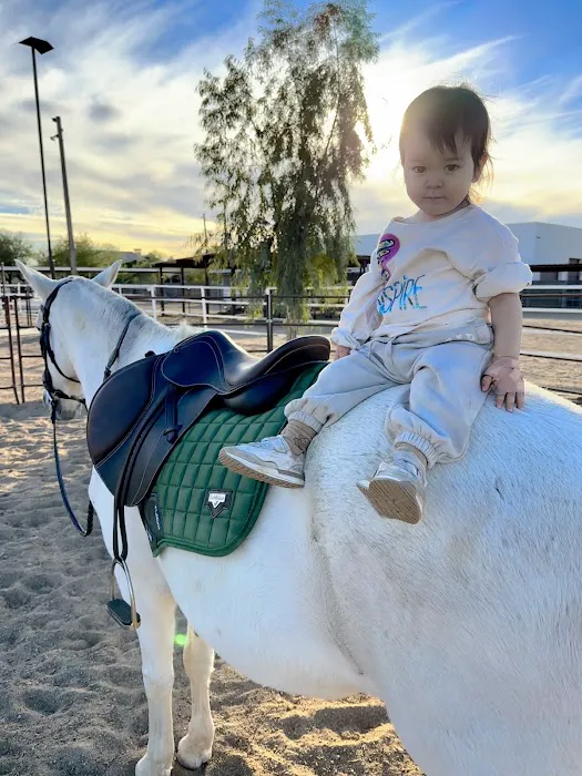 Cave Creek Equine Sports Medicine & Surgery Picture 2