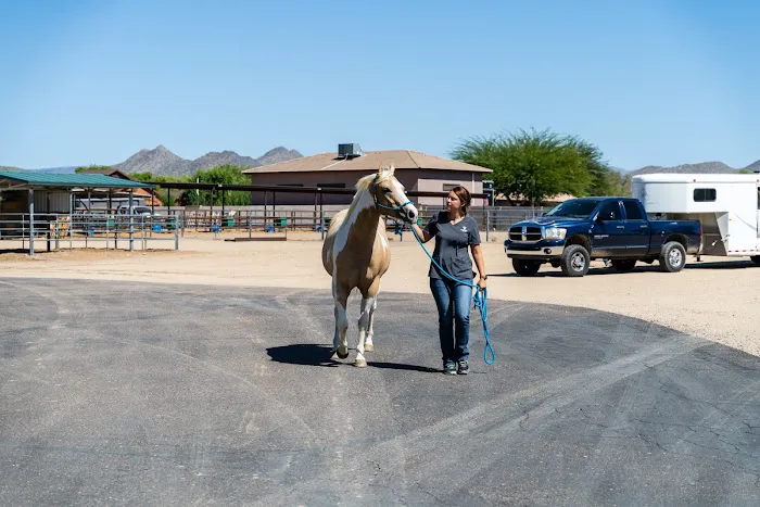 Cave Creek Equine Sports Medicine & Surgery Picture 5
