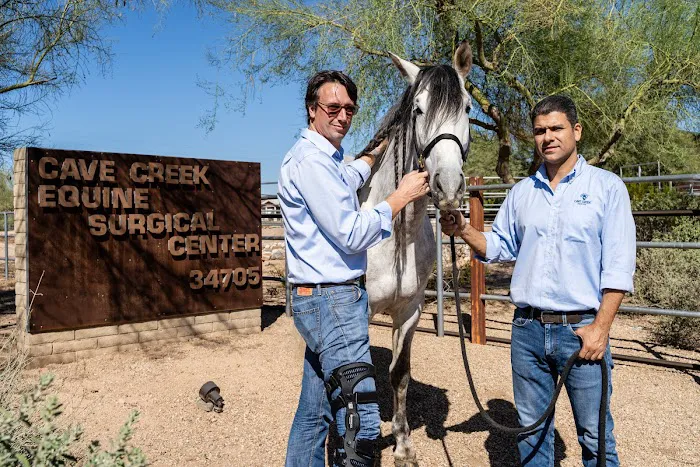 Cave Creek Equine Sports Medicine & Surgery Picture 10