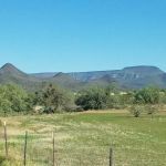 Performance Equine Specialists