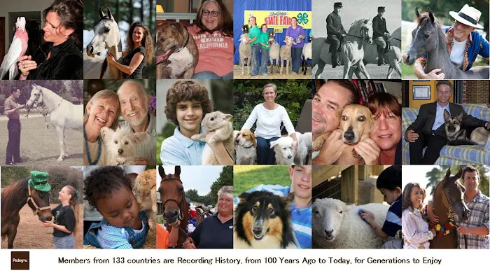 Pedegru - Animal History & Products Picture 7