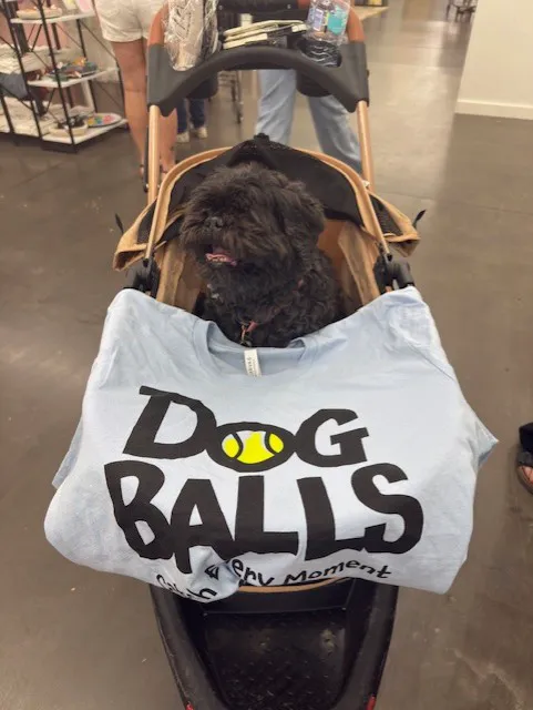 Dog Balls Picture 4