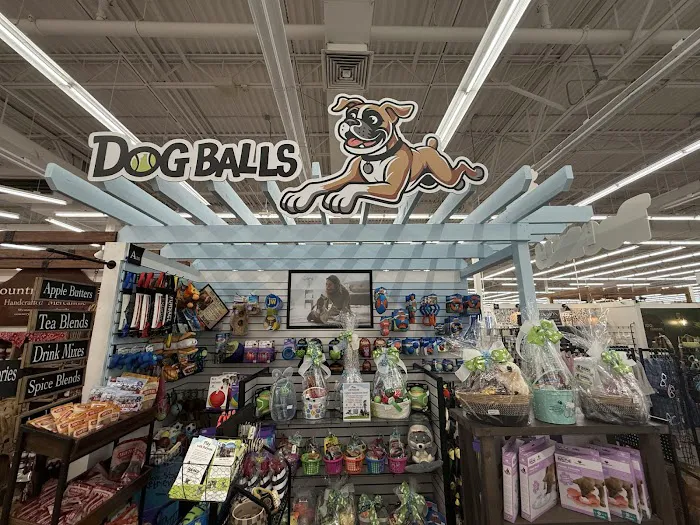 Dog Balls Picture 9