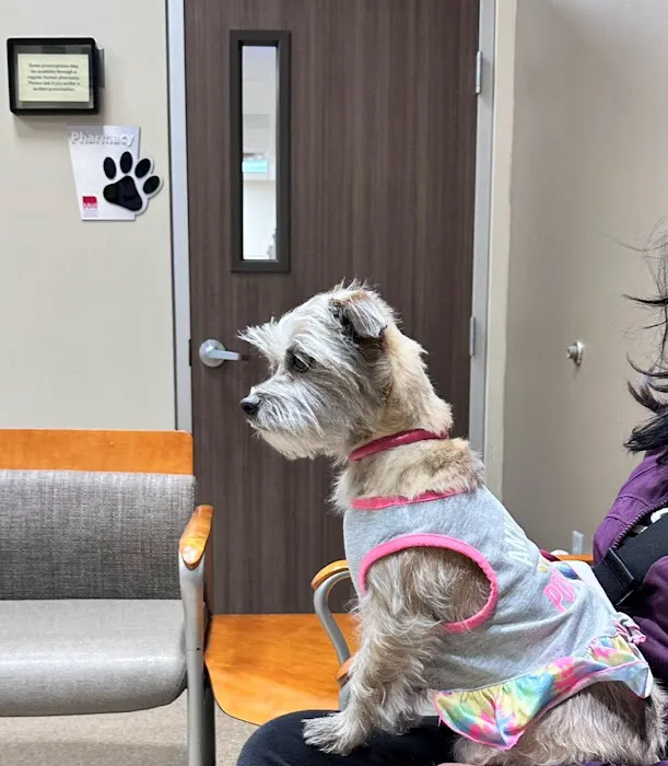 Arizona Animal Wellness Center Picture 9