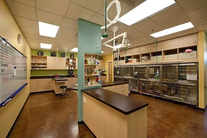 Seville Veterinary Hospital Picture 3