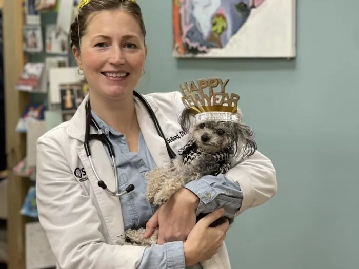 Seville Veterinary Hospital Picture 1