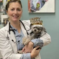 Seville Veterinary Hospital ico